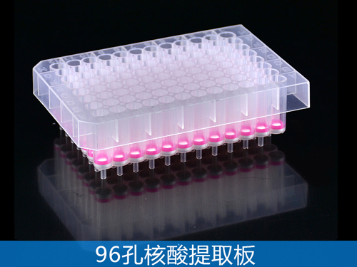 96孔核酸純化板